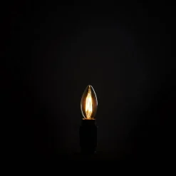 Shop Iris Bulb Lighting | Get It In Time For Christmas