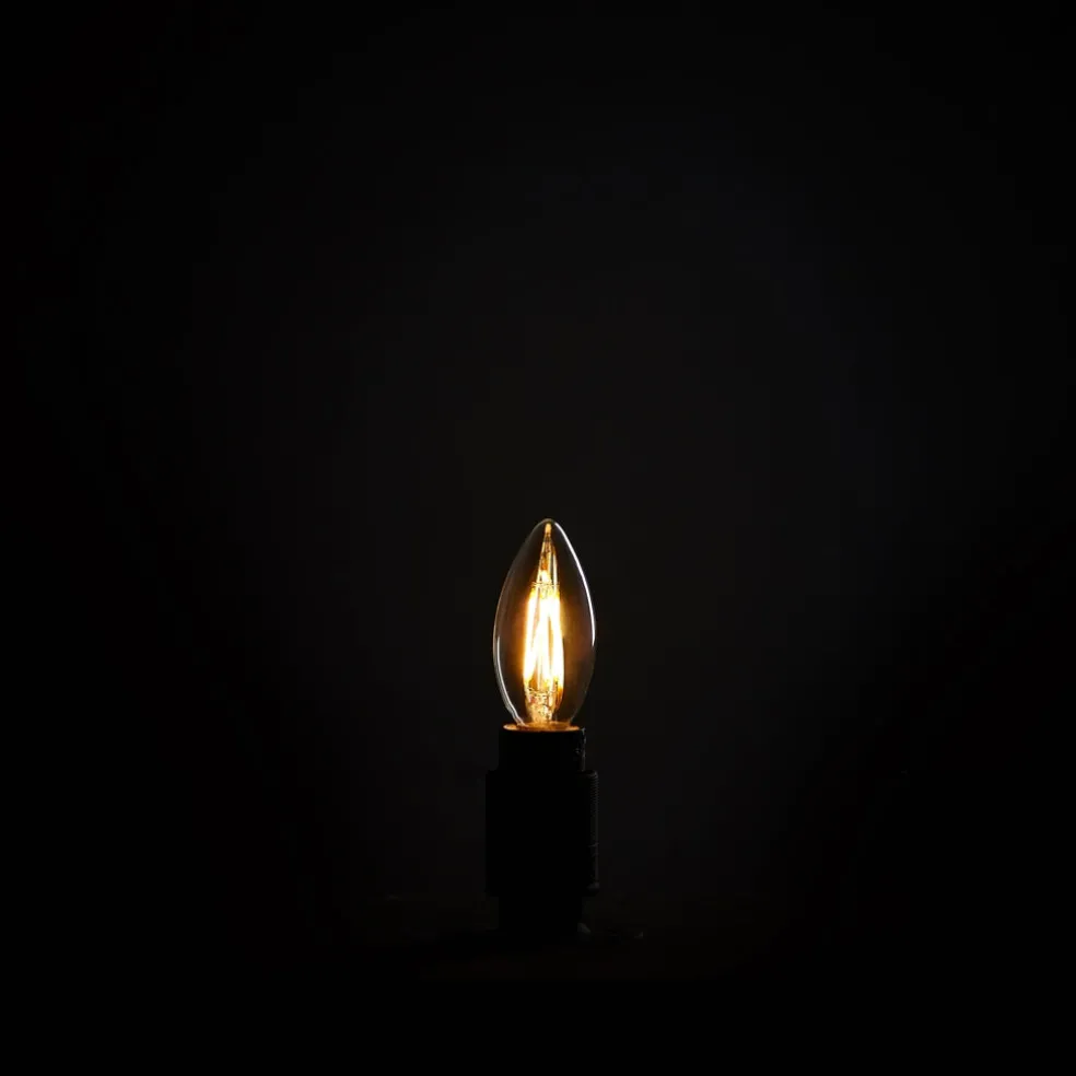 Shop Iris Bulb Lighting | Get It In Time For Christmas