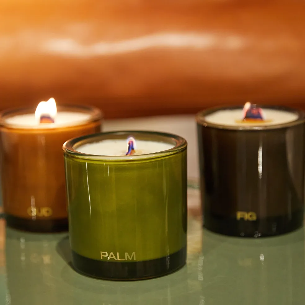 Sale Palm Scented Candle Candles, Holders & Diffusers | Gifts For Home