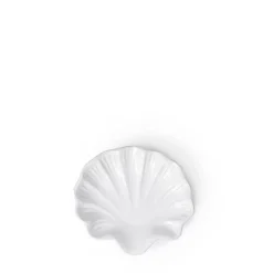 Store Puglia White Shell Dish Bowls & Plates | Gifts For Home