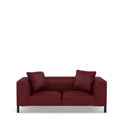 Hot Sloan 2-Seater Sofa Sloan